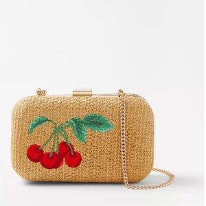 🍒 Ann Taylor purse